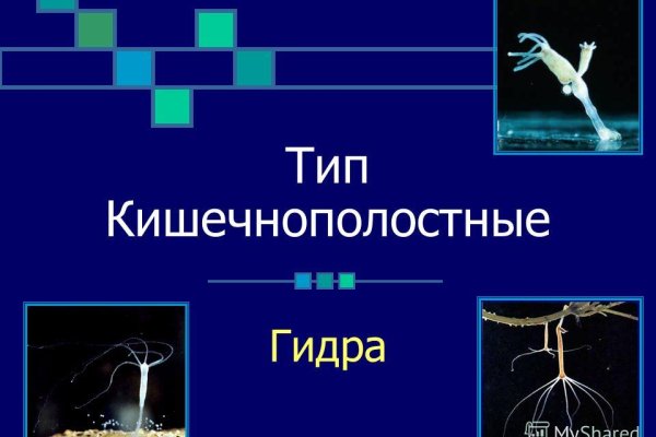 Kra34.at