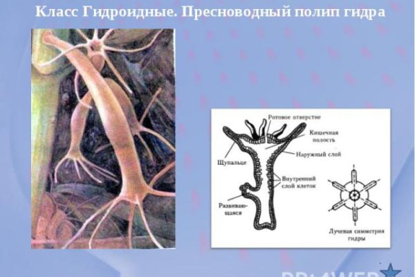 Кракен настоящее зеркало