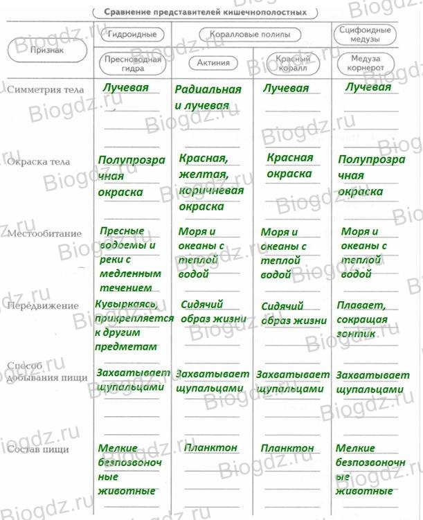 Что такое кракен шоп